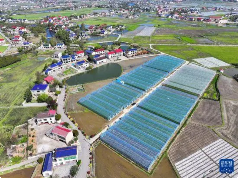 QQ截图20240403163138