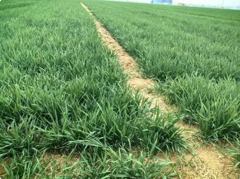 QQ截图20240407092751